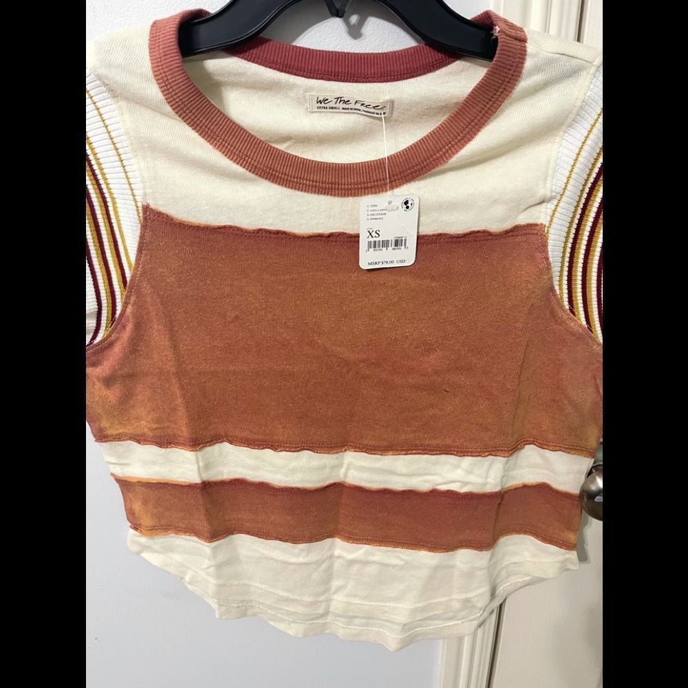 Free People Striped Crop Top in Rust and Cream